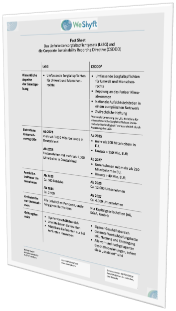 Fact Sheet LkSG CSDDD